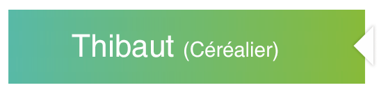 Thibaut (Céréalier)